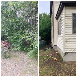 Rudy Landscaping - Before and after