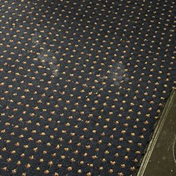 Red Roof Inn Sutton - Cum stains on the rug