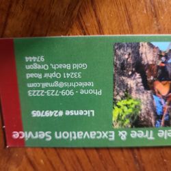 Teele Tree Service