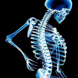 Omega Chiropractic Center - Sports Performance & Nutrition