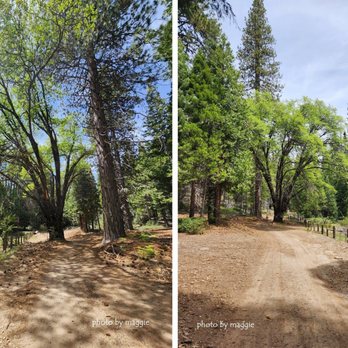 Jackson Road Trail - Jackson Road/Tenaya Loop Trail, Madera County: 2026 May 20 - Hiking Near Me - Fish Camp, California Jackson Road Trail - Jackson Road/Tenaya Loop Trail, Madera County: 2026 May 20 - Hiking Near Me - Fish Camp, California