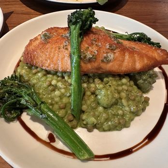 North Italia - Roasted Salmon - Italian Near Me - Cerritos, California North Italia - Roasted Salmon - Italian Near Me - Cerritos, California