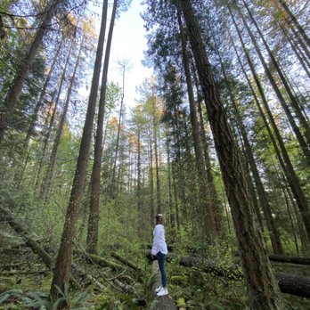 Watershed Park - Parks Near Me - Delta, British Columbia Watershed Park - Parks Near Me - Delta, British Columbia