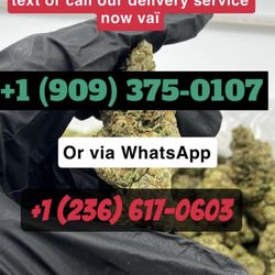 Dank Delivery DC