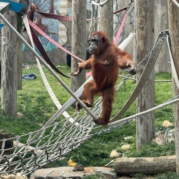 Audubon Zoo - Aquariums Near Me - New Orleans, Louisiana