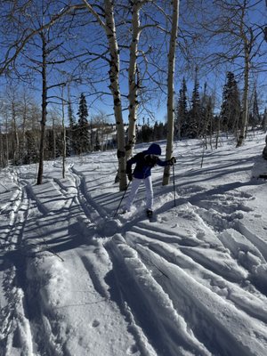 Powder Mountain by null