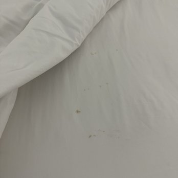 La Quinta by Wyndham Houma - Stains on the sheets - Hotels Near Me - Houma, Louisiana