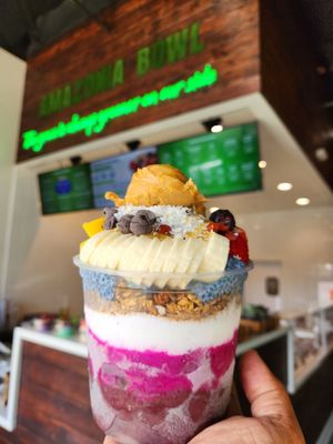 Amazonia Bowl by null