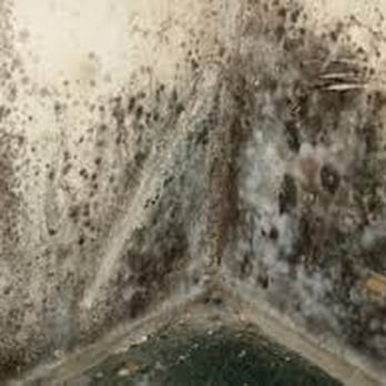 Inspection & Remediation Services - Water Damaged Bathroom - Home Inspectors Near Me - Brooklyn, New York