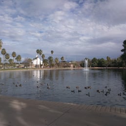 Beautiful duck pond , great for a sunny day of relaxing