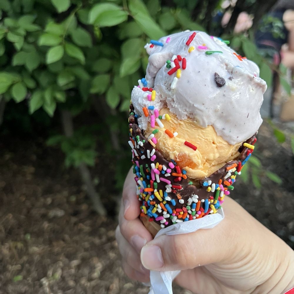 Double scoop--bumbleberry pie and peaches and cream--in a sprinkle waffle cone with sprinkles on top!