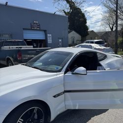 Bowditch Ford - Mustang