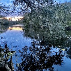 Trout Creek Wilderness Park