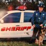 Photo of Sutton Dog Training