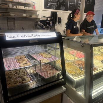 Paciugo Gelato Caffè - Gelato Near Me - San Antonio, Texas Paciugo Gelato Caffè - Gelato Near Me - San Antonio, Texas