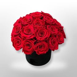 Iwot Kassa Workneh - Luxurious flower arrangement for any occasion.