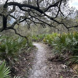 Orange trail path