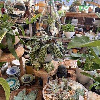 The Potting Shed - Love all these inspirational ideas and potted plants - Nurseries & Gardening Near Me - Fairfax, California The Potting Shed - Love all these inspirational ideas and potted plants - Nurseries & Gardening Near Me - Fairfax, California