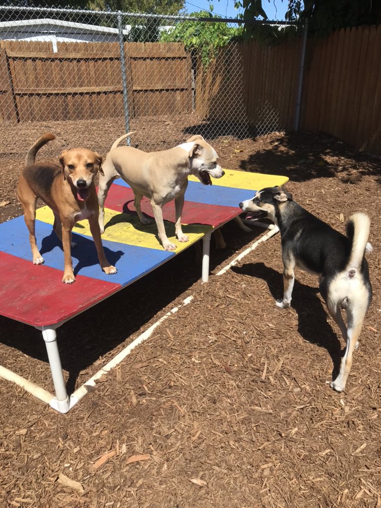 PASADENA PET MOTEL Updated September 2024 14 Reviews 6735