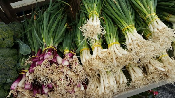 Pittsfield Township Farmers Market by null