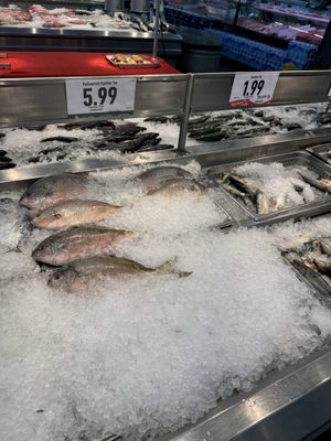Seafood City by null