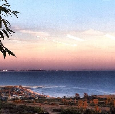 Payson Library by null