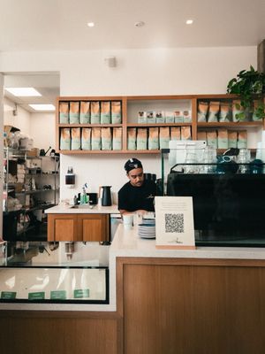 The Little Marionette by null