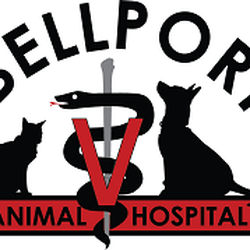 Bellport Animal Hospital