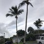 Photo of Gonzalos Landscaping Plus