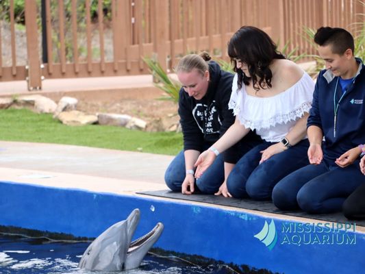 Mississippi Aquarium by null