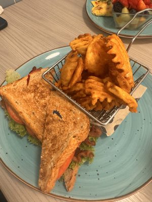 Amy's Omelette House - Long Branch by null