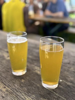 Almanac Adventureland & Brewery by null Almanac Adventureland & Brewery by null