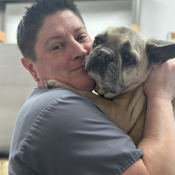 Countryside Animal Clinic - Veterinarians Near Me - Northbrook, Illinois Countryside Animal Clinic - Veterinarians Near Me - Northbrook, Illinois
