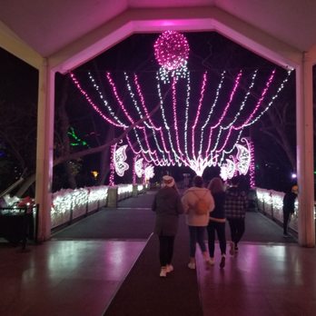 Dallas Zoo - The Christmas Lights. - Zoos Near Me - Dallas, Texas