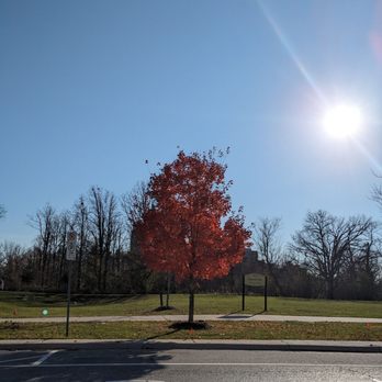 Dragonfly Park - The park from across the street - Parks Near Me - Markham, Ontario