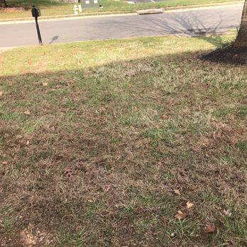 Perfect Lawns - This is the result of their perfect work! Don't do it. - Landscaping Near Me - Landover, Maryland Perfect Lawns - This is the result of their perfect work! Don't do it. - Landscaping Near Me - Landover, Maryland