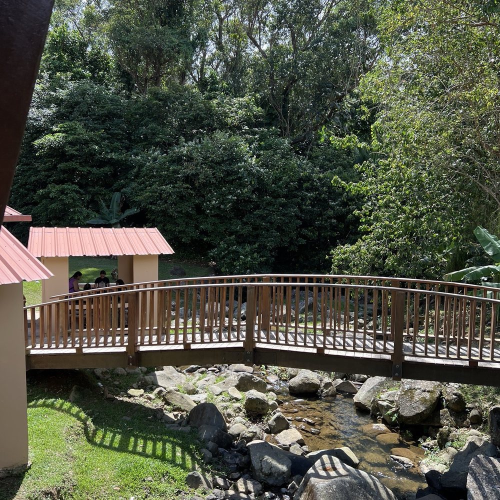 El Rancho Original - Barbeque Near Me - Cayey, Puerto Rico
