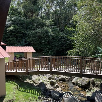 El Rancho Original - Barbeque Near Me - Cayey, Puerto Rico El Rancho Original - Barbeque Near Me - Cayey, Puerto Rico