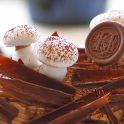 Black forest buche de noel from 2021