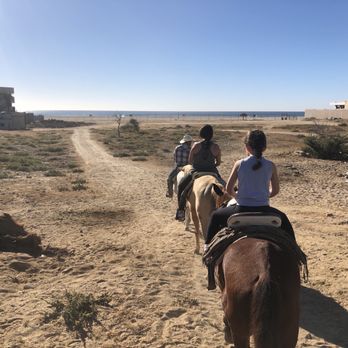 Bonanza - Horseback Riding Near Me - San José del Cabo, BCS