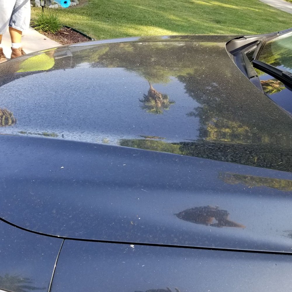Avis Rent A Car - Filthy - Car Rental Near Me - Riverside, California Avis Rent A Car - Filthy - Car Rental Near Me - Riverside, California