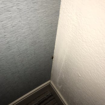 Hampton Inn Atlanta-Georgia Tech-Downtown - Another photo of the cockroach. - Hotels Near Me - Atlanta, Georgia Hampton Inn Atlanta-Georgia Tech-Downtown - Another photo of the cockroach. - Hotels Near Me - Atlanta, Georgia