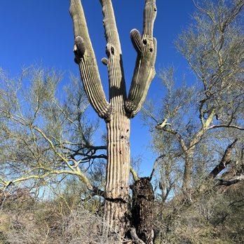 Papago Park - Parks Near Me - Phoenix, Arizona Papago Park - Parks Near Me - Phoenix, Arizona