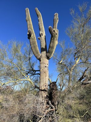 Papago Park by null