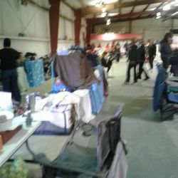 Companion Dog Club - Flyball Tourney