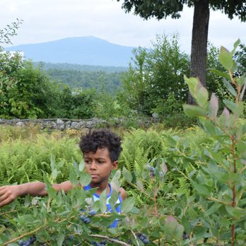 Monadnock Berries - Berry picking with Monadnock behind - Fruits & Veggies Near Me - Troy, New Hampshire Monadnock Berries - Berry picking with Monadnock behind - Fruits & Veggies Near Me - Troy, New Hampshire
