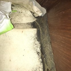 San Juan Sailing Charters - Mold in hatch in forward cabin