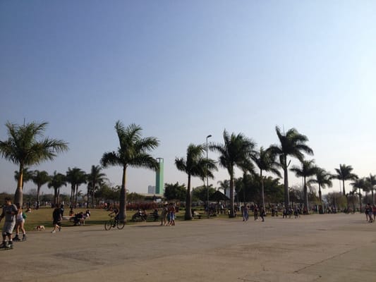 Parque Villa-Lobos by null