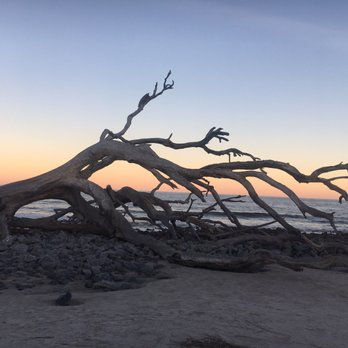 Driftwood Beach - Beaches Near Me - Jekyll Island, Georgia