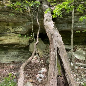 Loblolly Pines Adventure Camps - Campgrounds Near Me - Eureka Springs, Arkansas